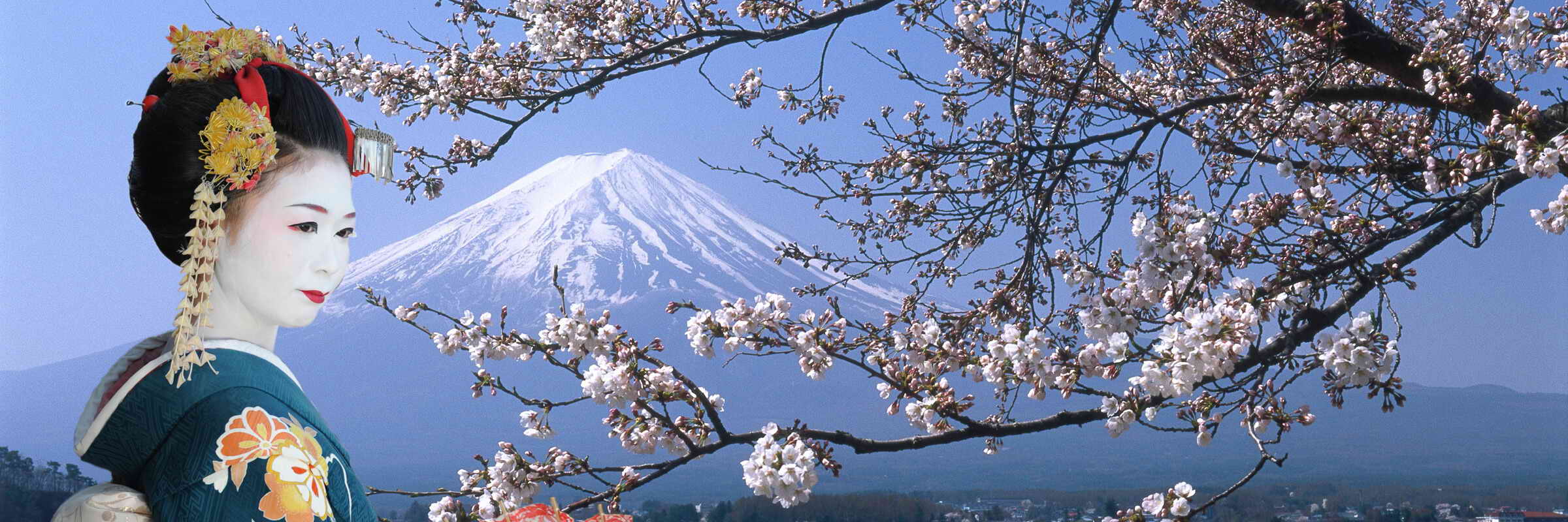 Blick auf den Fuji-san im Fuji-Hakone-Izu-Nationalpark, Honshu, Japan