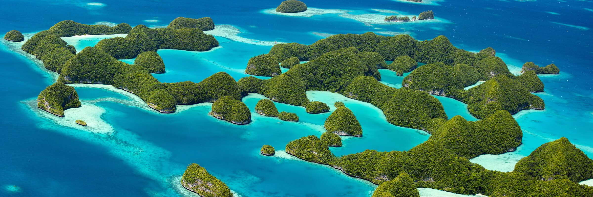 Die Rock Islands in Palau sind eine Inselgruppe im Westpazifik, die vor allem unter Tauchern sehr beliebt ist.