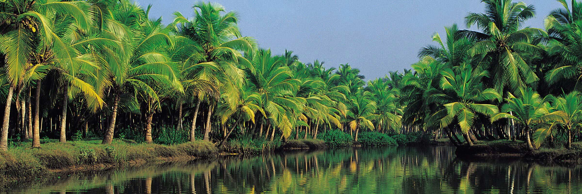 Die Backwaters sind ein verzweigtes Wasserstraßennetz im südindischen Bundesstaat Kerala, dass sich auf einer Fläche von 1900 km² von Kochi bis Kollam erstreckt.