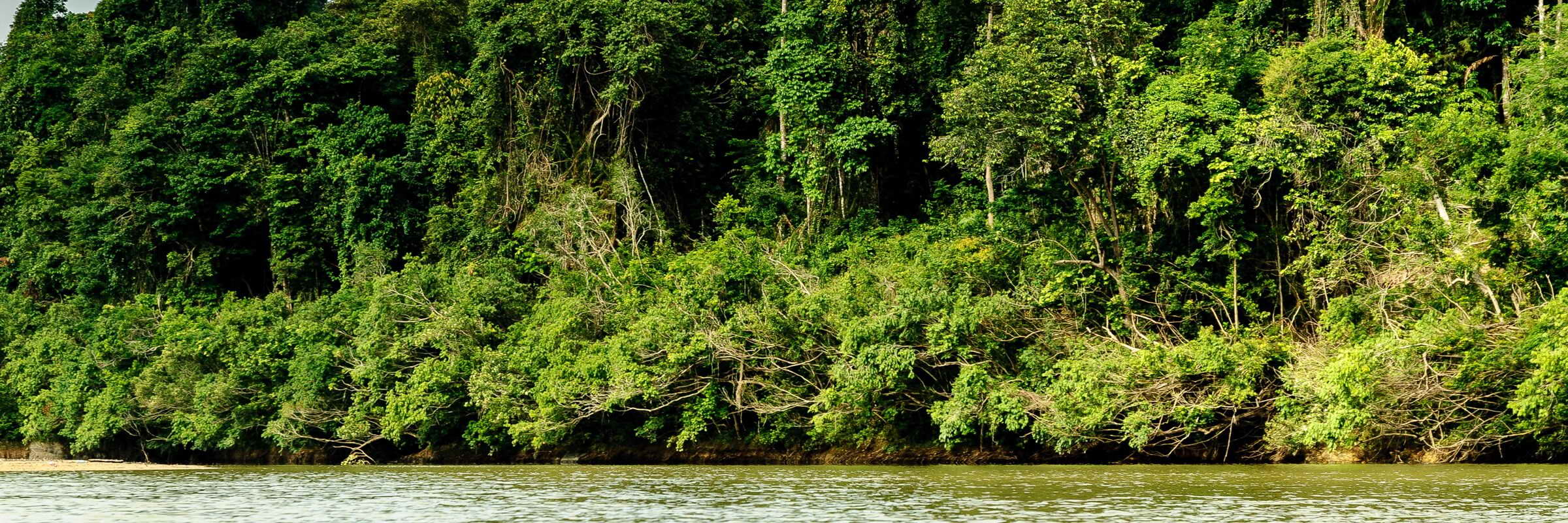 Der Sungai Tembeling ist ein Fluss auf der malaiischen Halbinsel im Bundesstaat Pahang, der den Taman-Negara-Nationalpark durchfließt.