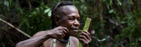Die Kuruwai leben tief in den Wäldern und sind die letzten Baumhausnomaden Papuas.