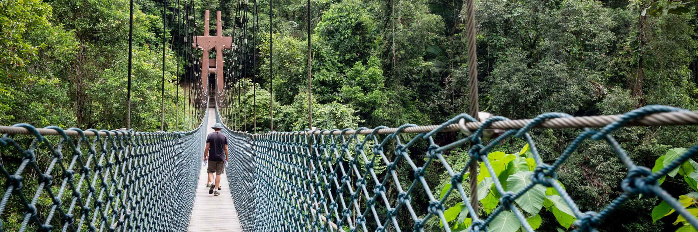 Naturerlebnis bei einer Brunei Reise. Der Ulu Temburong National Park beeindruckt mit seinem besonders gut erhaltenen Regenwald und ist Bruneis ältester Nationalpark.