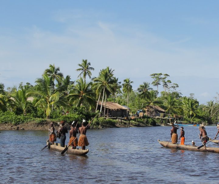 Die sogenannten Einbäume, Boote die aus einem einzigen Baum geschnitzt werden, sind das Hauptverkehrsmittel der verschiedenen Hochlandstämme in Papua.