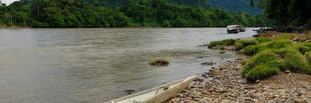 Per Boot auf dem Mahakam River kann man tief in den Regenwald von Kalimantan mit seiner faszinierenden Flora und Fauna vordringen.