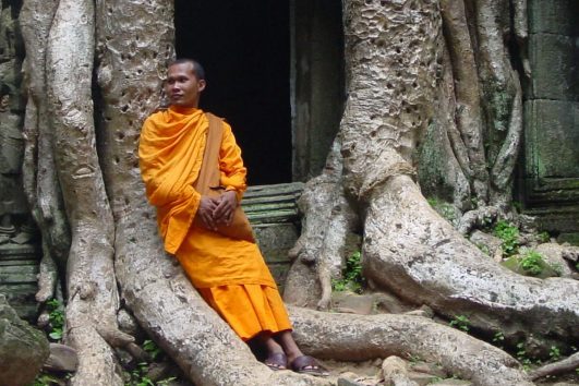 Die aufgegebene Tempelanlage Ta Prohm besteht aus einem Tempel, einem Kloster sowie weiteren kleineren Gebäuden und einer den Gebäudekomplex umgebenen Mauer mit Ecktürmen und Eingangspavillons.