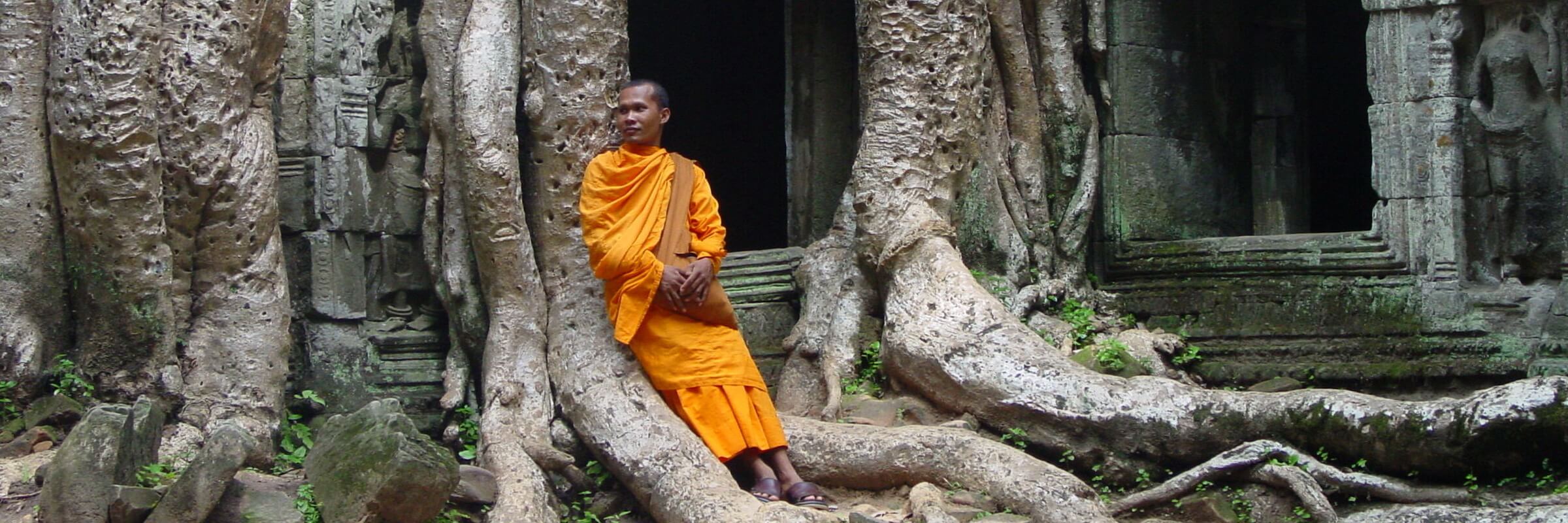 Die aufgegebene Tempelanlage Ta Prohm besteht aus einem Tempel, einem Kloster sowie weiteren kleineren Gebäuden und einer den Gebäudekomplex umgebenen Mauer mit Ecktürmen und Eingangspavillons.