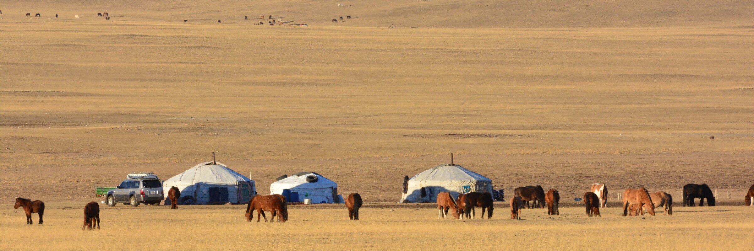 Ein großer Teil der mongolischen Bevölkerung besteht aus Nomaden, die mit ihren Jurten durch das Land ziehen, viele verdienen ihren Lebensunterhalt mit der Pferdezucht.