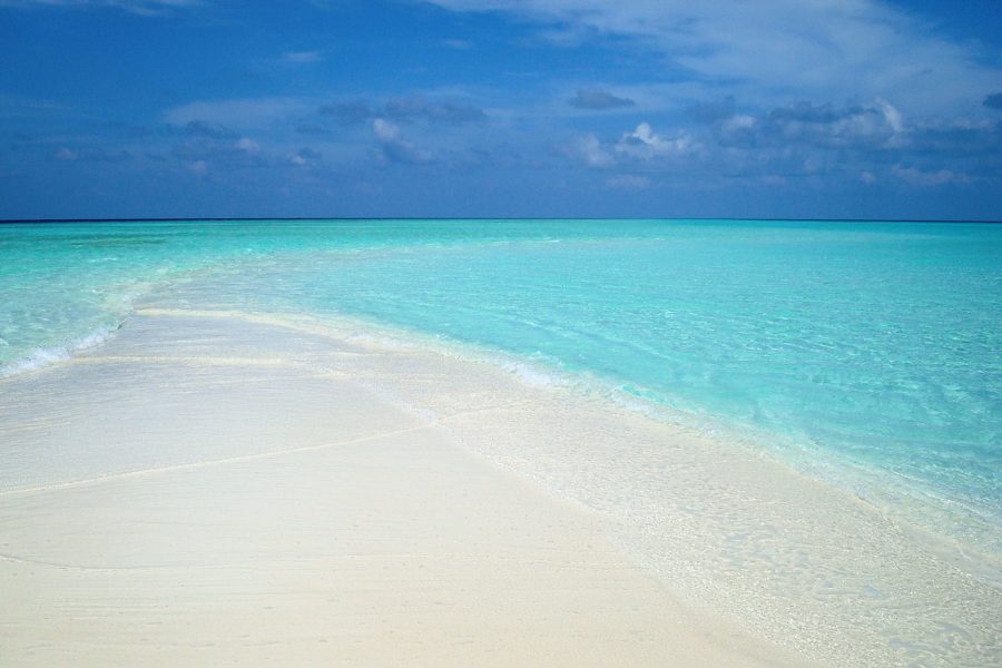 In den seichteren Gewässern des Indischen Ozeans, treten bei niedrigem Wasserstand oft Sandbänke zu tage.