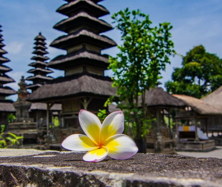 Die Tempelanlage Pura Taman Ayun auf Bali gilt als eine der schönsten der Insel und ist von zahlreichen blüten- und früchtetragenden Bäumen eingerahmt.
