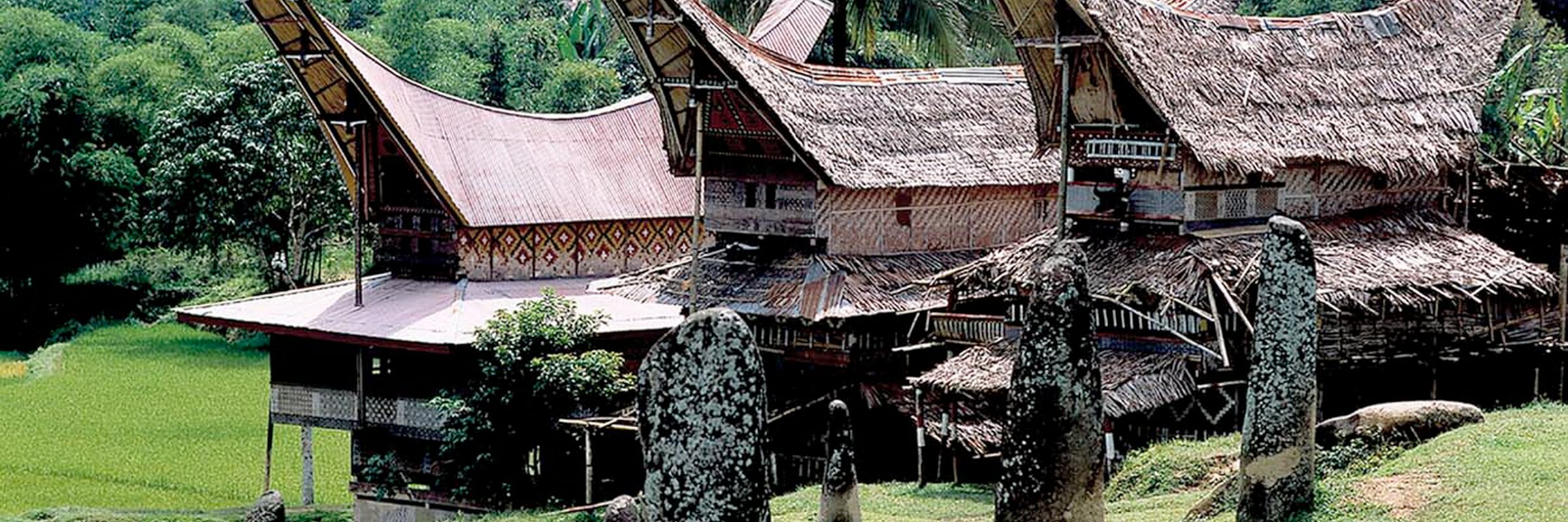 Die traditionellen Ahnenhäuser der Toraja mit ihrer markanten Architektur werden Tongkonan genannt.