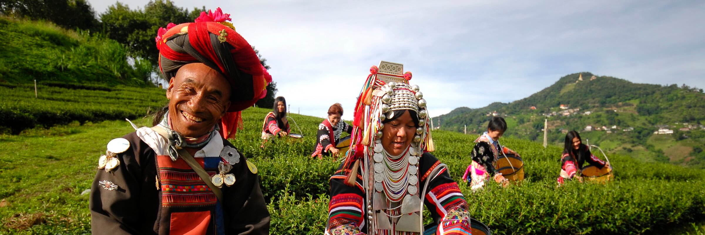 An den zahlreichen Teeplantagen in Chiang Rai haben sich viele Völker der Bergstämme angesiedelt.