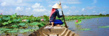 Vietnamesische Frauen fahren mit dem Boot in das Mekong Delta und pflücken Lotusblüten