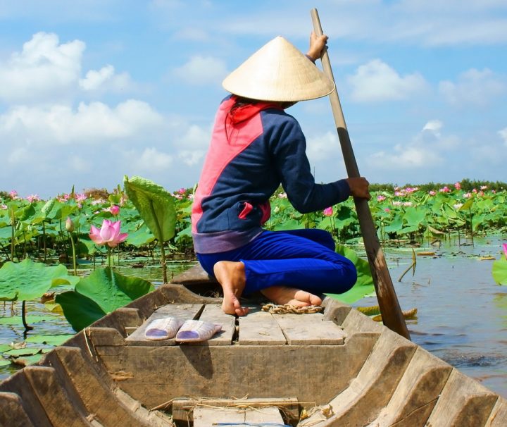 Vietnamesische Frauen fahren mit dem Boot in das Mekong Delta und pflücken Lotusblüten