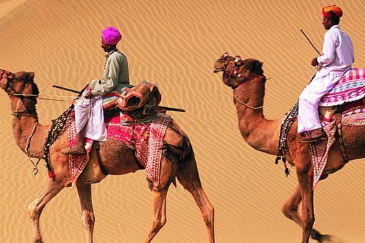 In den Wüstengebieten im nordindischen Bundesstaat Rajasthan sind Kamele nach wie vor wichtige Nutztiere und Fortbewegungsmittel.