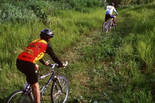 Der zum UNESCO-Weltkulturerbe gehörende Khao Yai Nationalpark eignet sich hervorragend für ausgedehnte Fahrradtouren.