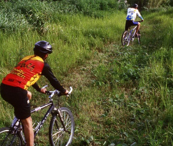 Der zum UNESCO-Weltkulturerbe gehörende Khao Yai Nationalpark eignet sich hervorragend für ausgedehnte Fahrradtouren.