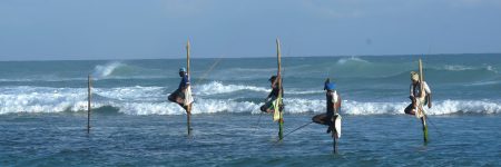 Die Tradition des Stelzenfischens wird nur in Sri Lankas Südprovinz, zwischen den Städten Unawatuna und Weligama, gepflegt.