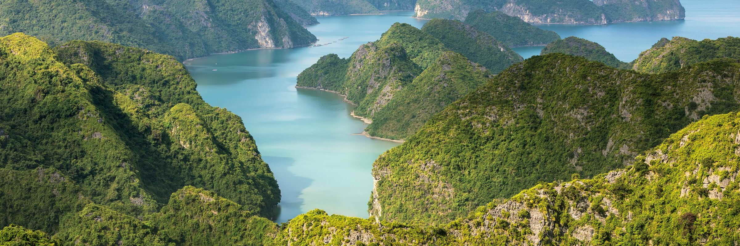 Die Halong Bucht im Golf von Tonkin in Vietnam zählt zu den schönsten Landschaften Vietnams und ist seit 1994 UNESCO Weltnaturerbe.