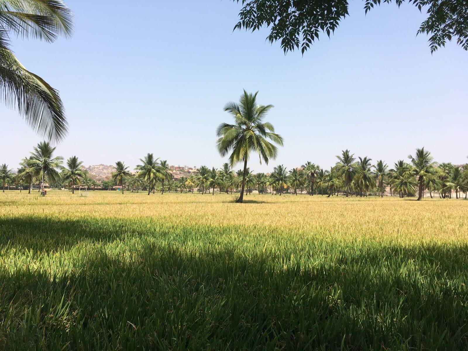 Hampi jenseits des Flusses