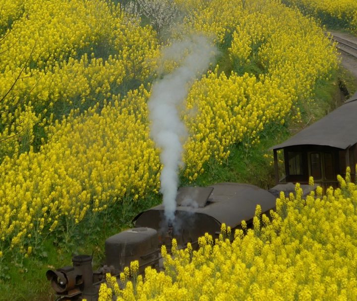 Dampflok Zug der Jiayang Schmalspurbahn fährt eine 20 km langen Schmalspurbahnstrecke vor schon seit 50Jahre bis heutzutage.