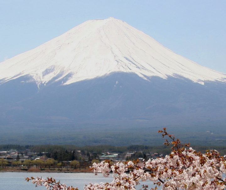 Majestätischer Blick auf den Mount Fuji bei Japans Kirschblüte, der besten Reisezeit für Japan Reisen