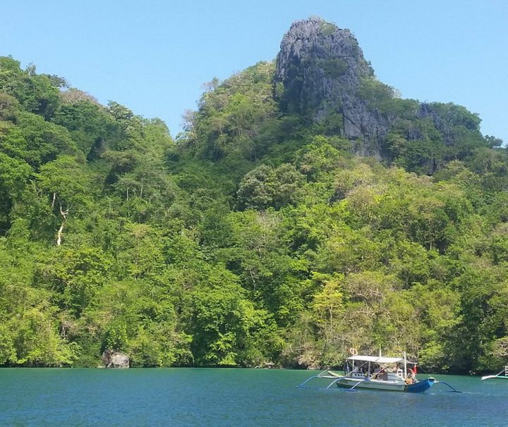 Palawan ist nicht nur klassisch schön, die Landschaft besticht durch steile Klippen, grüne Felsen und glasklares Wasser