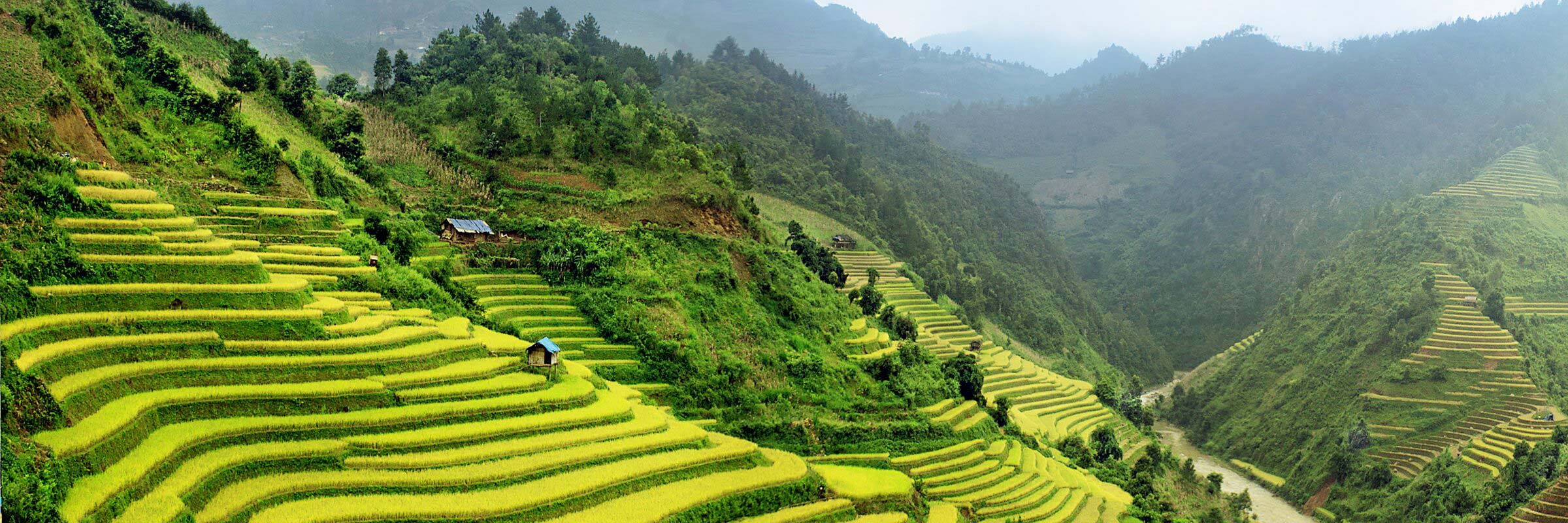 Die Landschaft um die Stadt Sapa herum ist von üppigen, grünen Reisterrassen geprägt.