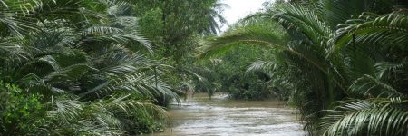 Der Mekong verfügt über viele kleine Kanäle, die nur mit dem Booten befahren werden können und in entlegenen Gegenden führen.