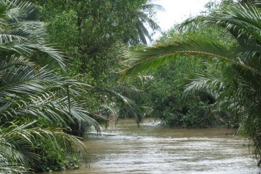 Der Mekong verfügt über viele kleine Kanäle, die nur mit dem Booten befahren werden können und in entlegenen Gegenden führen.