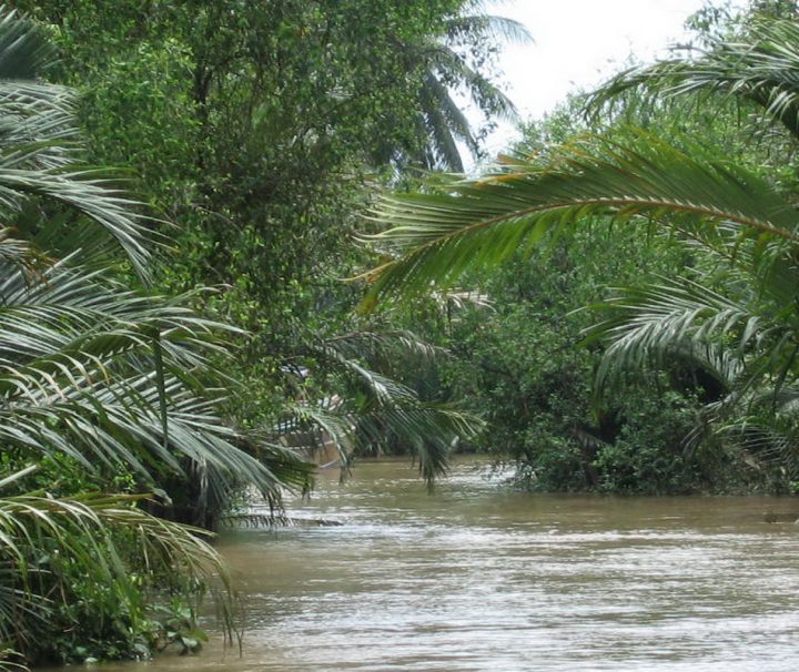 Der Mekong verfügt über viele kleine Kanäle, die nur mit dem Booten befahren werden können und in entlegenen Gegenden führen.