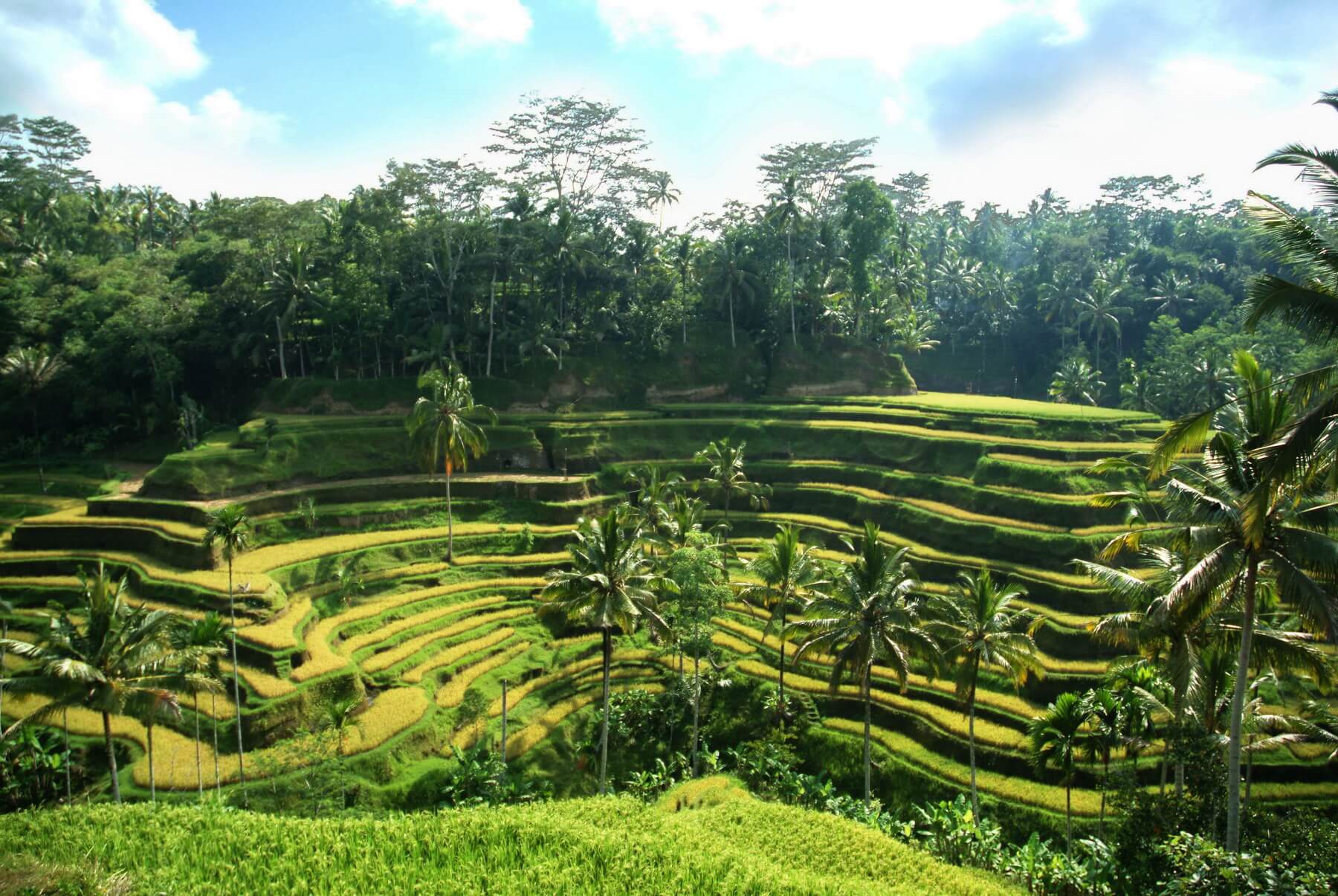 Rundreise Indonesien: Höhepunkte Bali  Baden im Kura Kura Resort