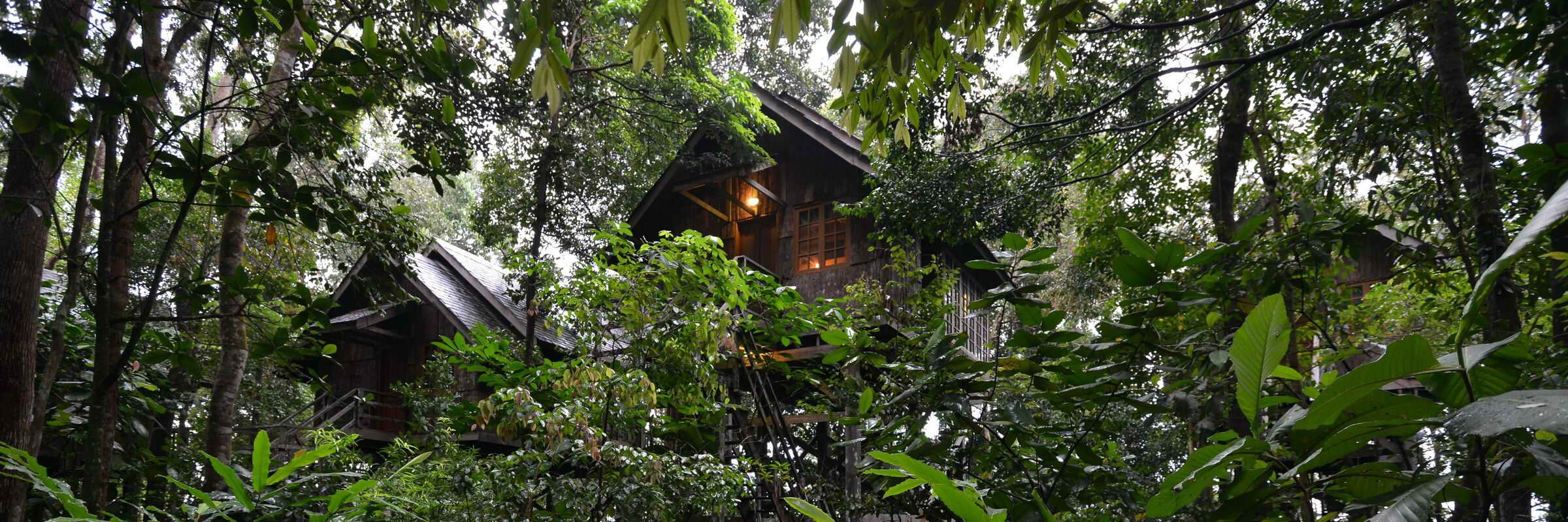 Permai Rainforest Resort Hotel Im Tropischen Regenwald