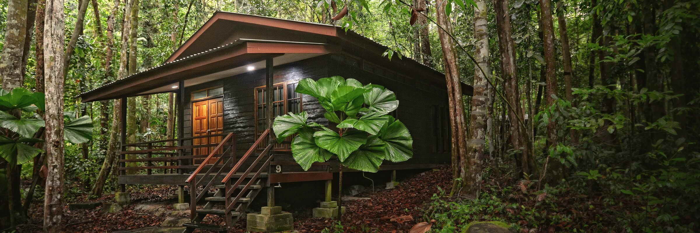 Aussenansicht der idyllisch gelegenenen Cabins inmitten des Regenwaldes im Permai Rainforest Resort