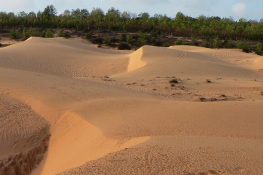 Das kleine, auf einer Halbinsel gelegene, Fischerdorf Mui Ne ist neben seinem Traumstrand vor allem für die Sanddünen in seiner Umgebung bekannt.