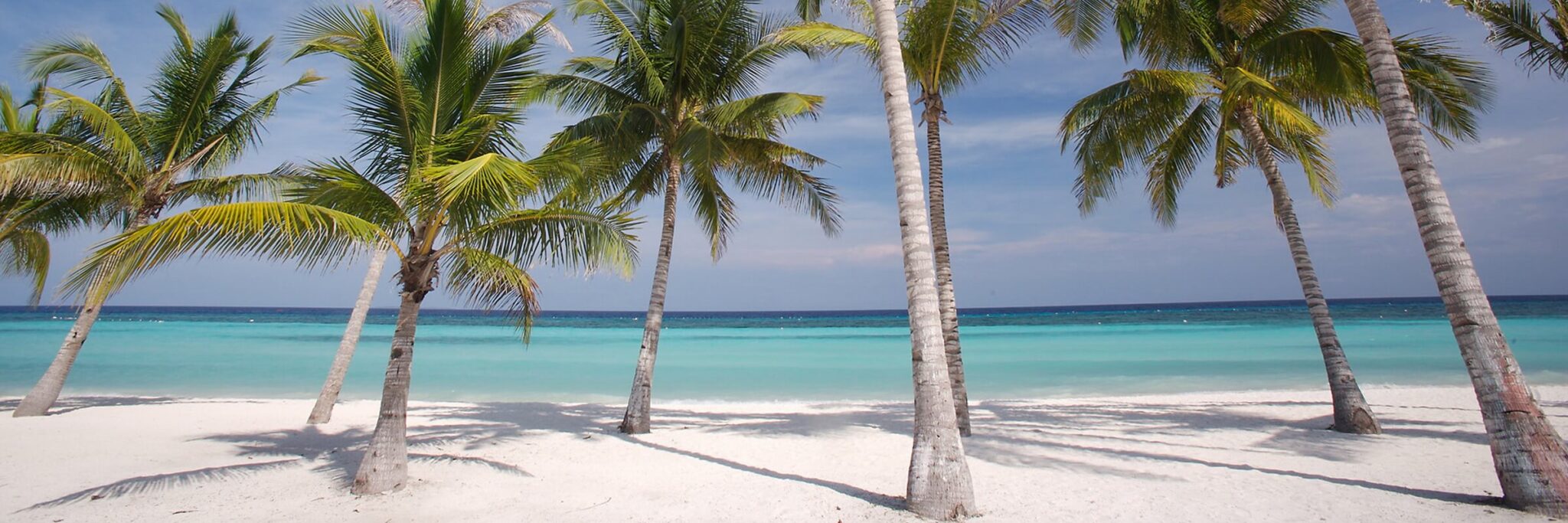 Die Philippinen-Insel Bohol überzeugt mit traumhaft weißen, palmengesäumten Sandstränden.