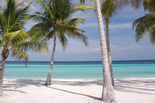 Die Philippinen-Insel Bohol überzeugt mit traumhaft weißen, palmengesäumten Sandstränden.