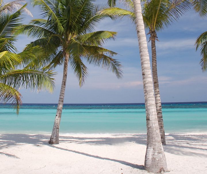 Die Philippinen-Insel Bohol überzeugt mit traumhaft weißen, palmengesäumten Sandstränden.