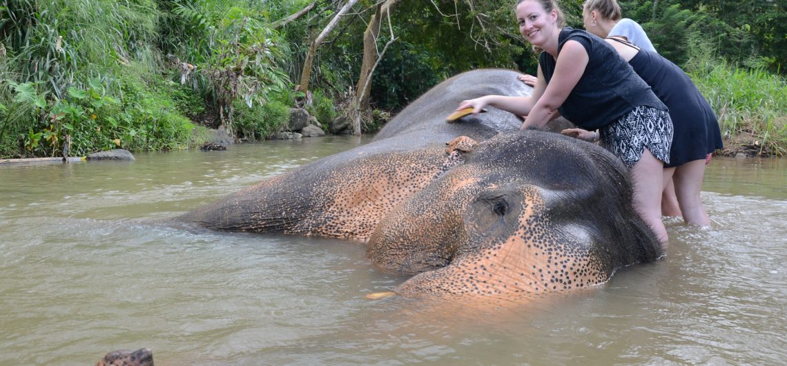 Entspannendes Bad im Fluss im Elephant Freedom Project