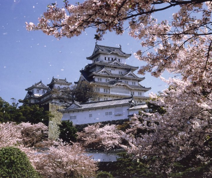 Die „Burg des weißen Reihers“ in Himeji ist Teil des UNESCO-Weltkulturerbes und gilt als Japans größte und schönste Burg.
