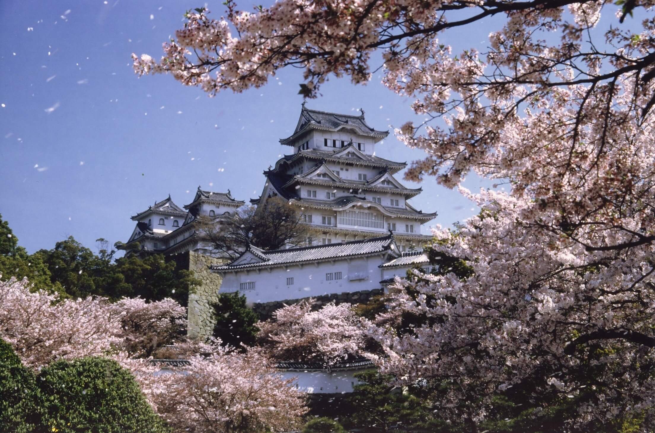 Die „Burg des weißen Reihers“ in Himeji ist Teil des UNESCO-Weltkulturerbes und gilt als Japans größte und schönste Burg.