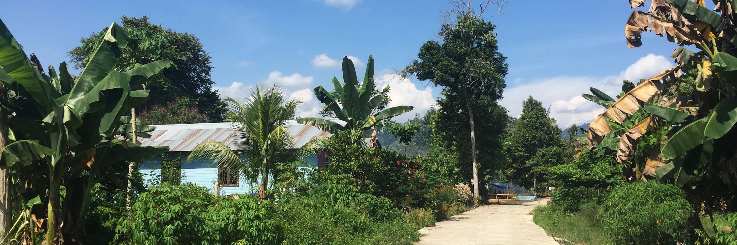 Ethnisiche Minderheiten wie die Dayak oder die Kenyah leben tief verborgen im Dschungel Borneos, fernab der Zivilisation.