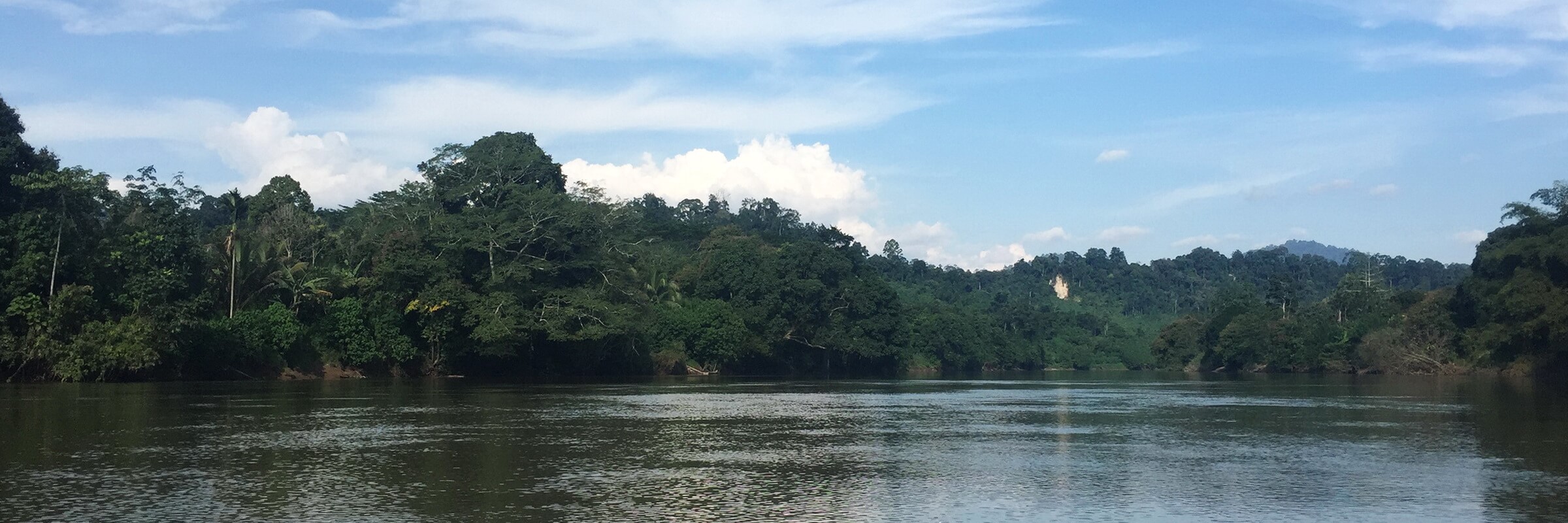 Über die Flüsse, die in Kalimantan die Straßen ersetzen, kann man tief in den Dschungel vordringen.