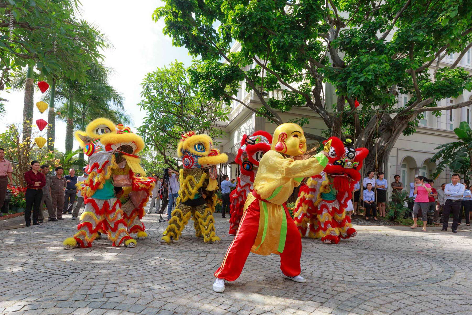 Ist das TET Festival eine geeignete Reisezeit für Vietnam