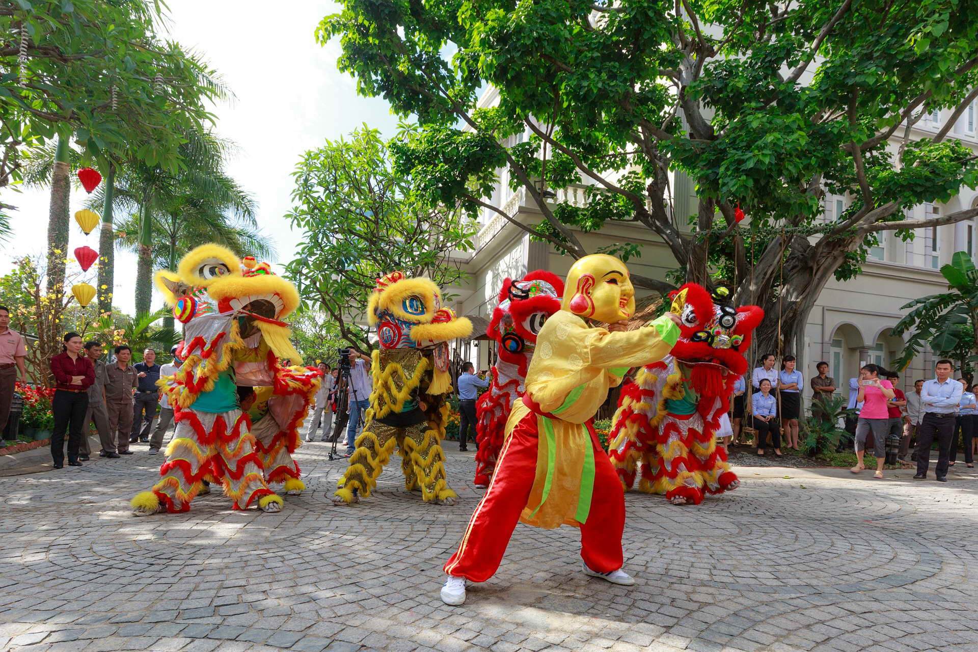TET Festival in Vietnam