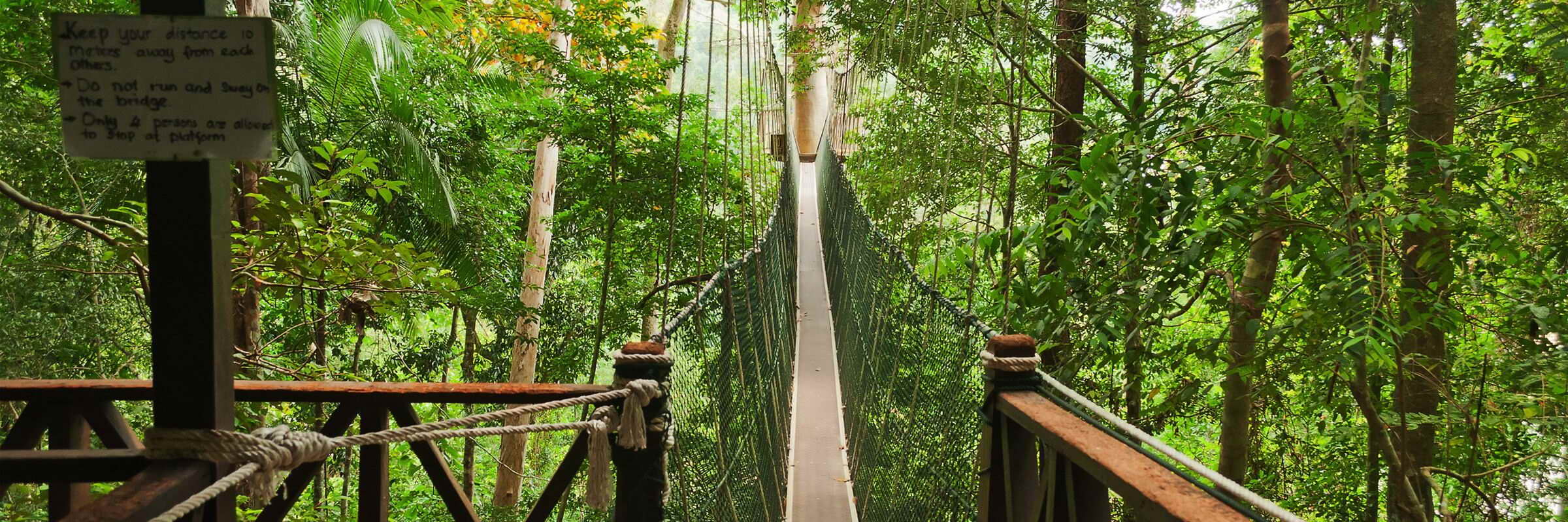 Der Canopy Walk ist ein System aus Hängebrücken, das es erlaubt, den Taman-Negara-Nationalpark auf luftiger Höhe zu durchwandern.