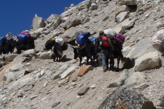 Bei einer Trekkingtour in Nepal können Reisende die beeindruckende Bergwelt des Himalayas hautnah erlebn.