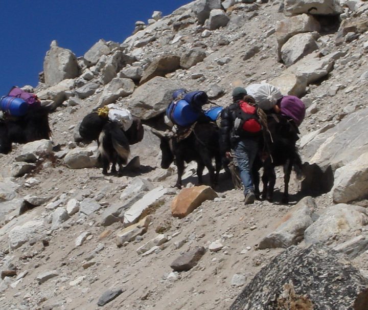 Bei einer Trekkingtour in Nepal können Reisende die beeindruckende Bergwelt des Himalayas hautnah erlebn.