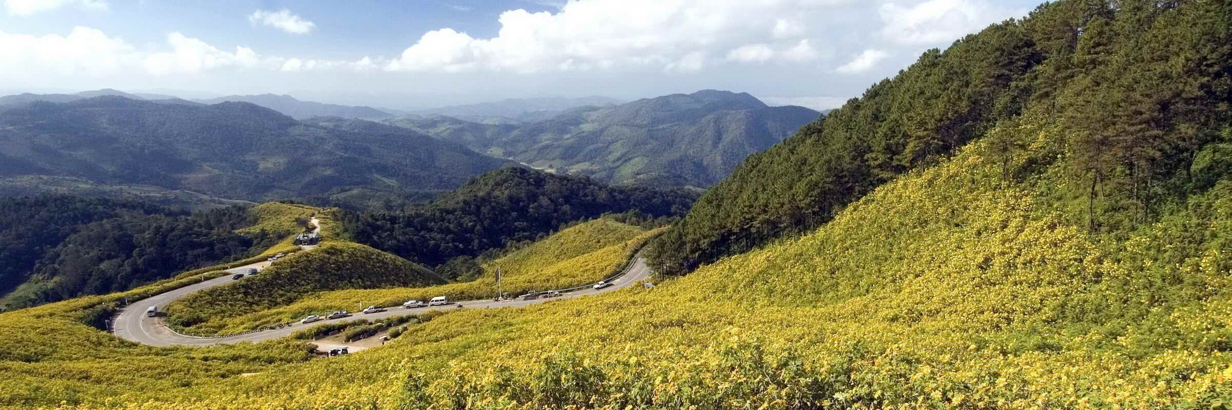 Bua Tong ist eine wildwachsende Gattung der Sonnenblume, die nur einmal im Jahr für 2 Wochen im November blüht und die Felder um Mae Hong Son gelb färbt.
