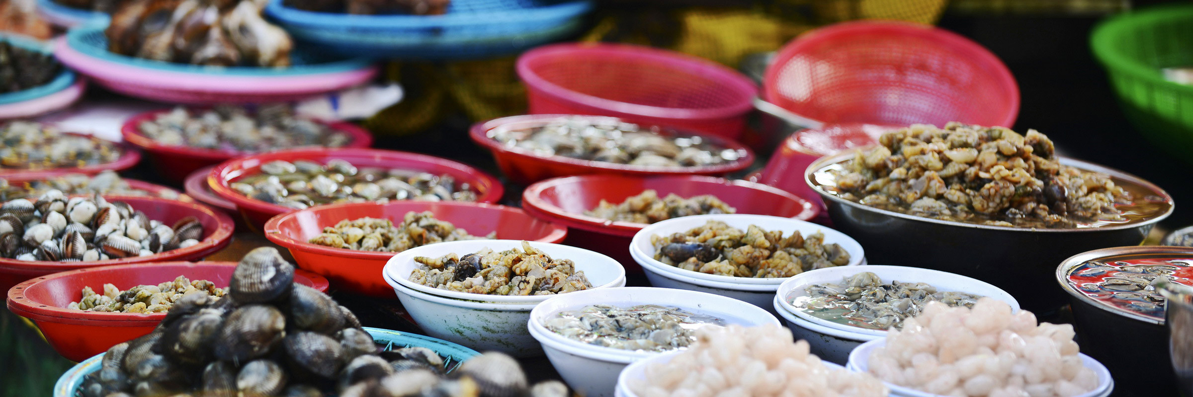 Der Jagalchi-Fischmarkt in Busan ist eines der Hightlights der Oastasien Tour