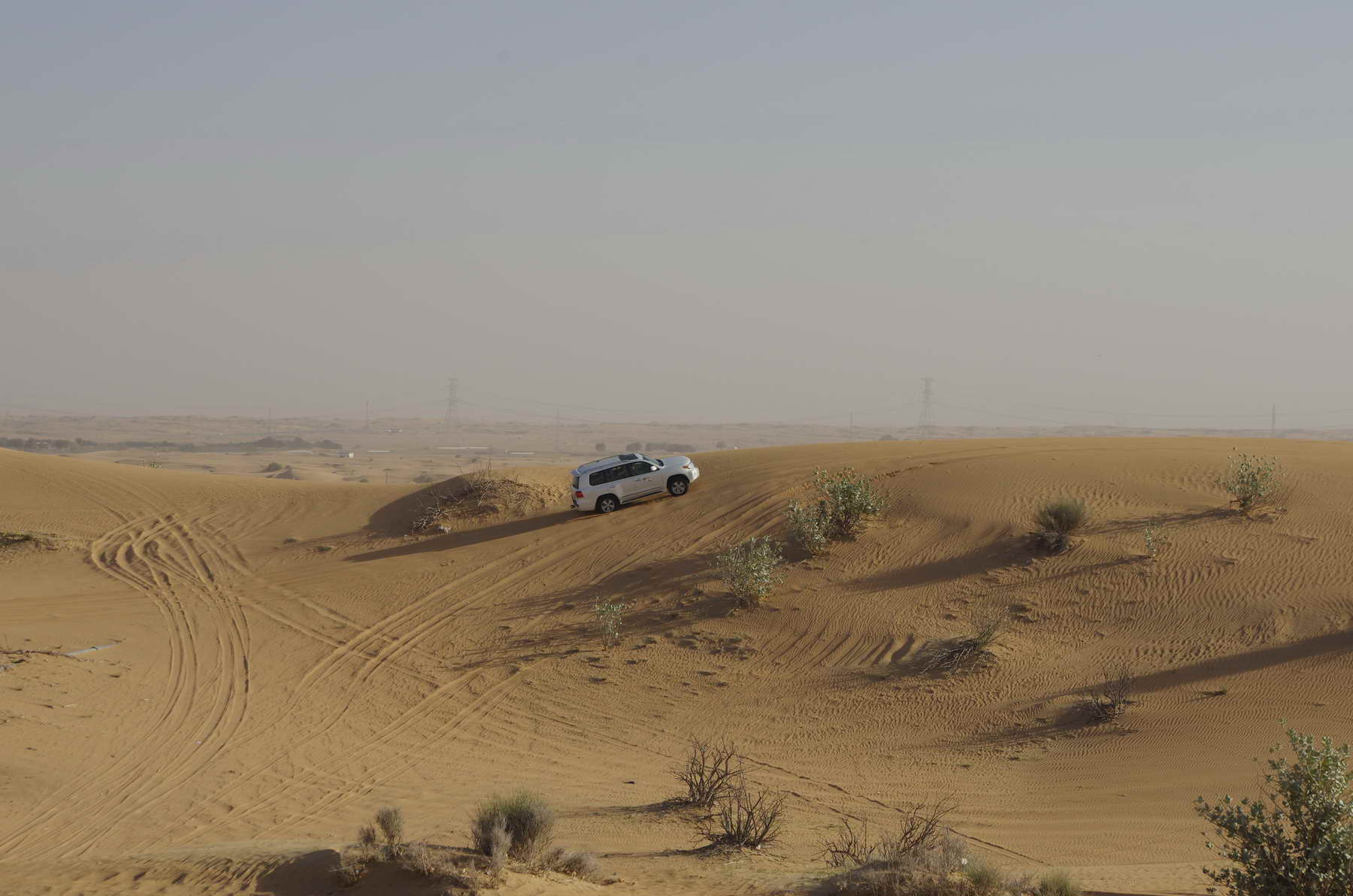 Wüstensafari in den Vereinigten Arabischen Emiraten